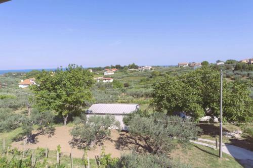 B&B Tra Gli Ulivi