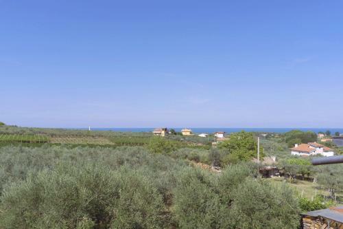B&B Tra Gli Ulivi