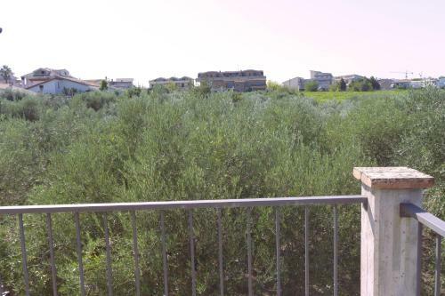 B&B Tra Gli Ulivi