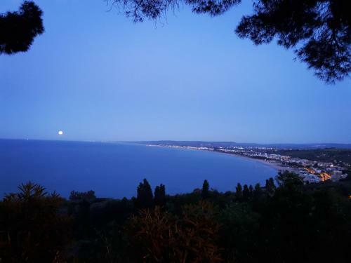 Nel Cuore Di Vasto