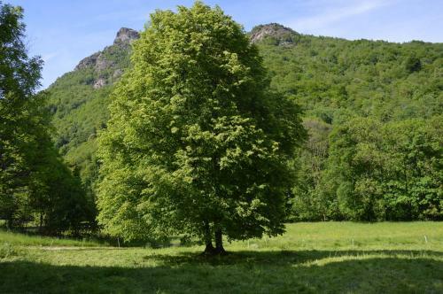 Agroturismo Countryrooms Valchiusella