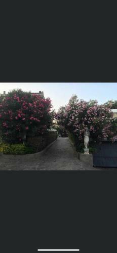 Apartamento Villa Petri