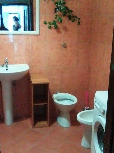 Apartamento L'angolo Da Pino