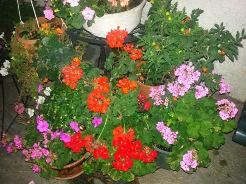 Posada Brigafatta Antica Locanda