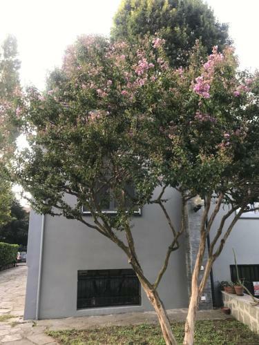 Apartamento Appartamento Per Single In Villa