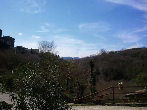 Torre Avellana Vignanello