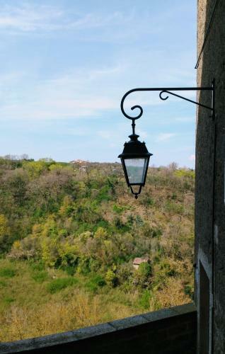 Torre Avellana Vignanello