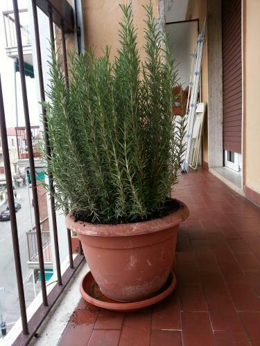Hostal La Via Per Milano