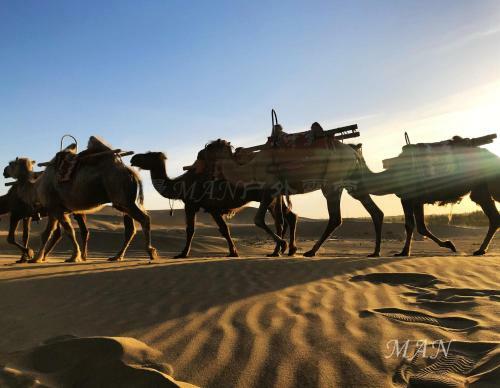 Dunhuang Manman International Desert Outdoor Campground