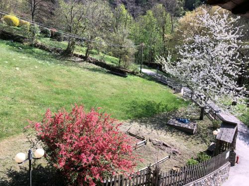 Bed & Breakfast Maso Zont