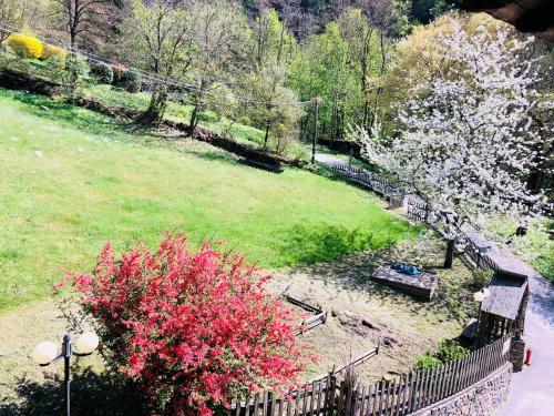 Bed & Breakfast Maso Zont