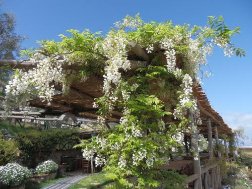 Bed & Breakfast Giardino 21 Marzo