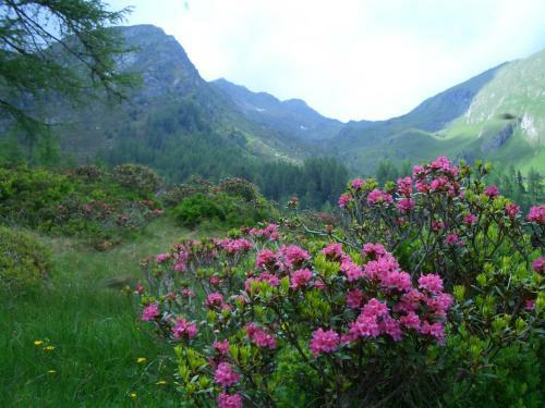 Apartamento Appartementhaus Goritschnig