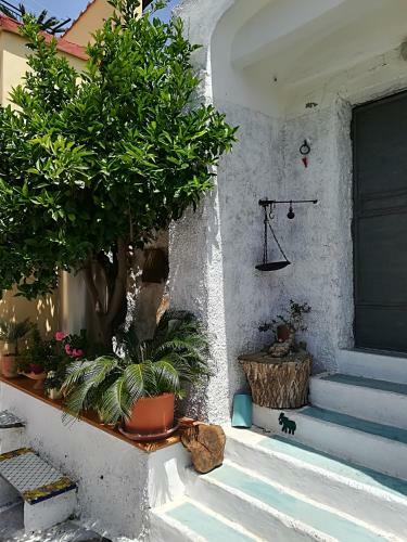 Bed & Breakfast Il Covo Delle Civette