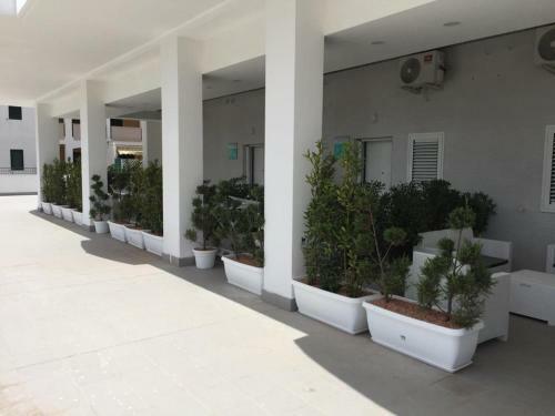 Ricciardelli Holiday Homes