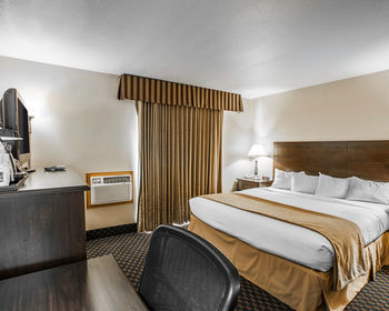 Hotel Quality Inn And Suites