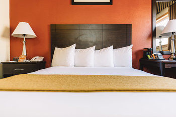 Hotel Quality Inn And Suites