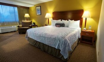 Hotel Best Western Executive Inn