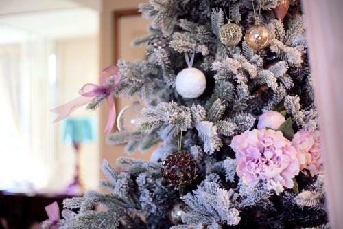 Apartamento Il Garofano Rosa