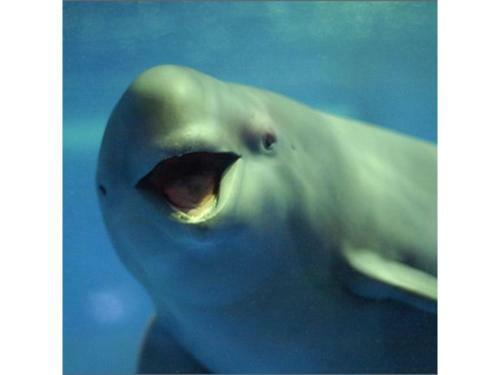 En Hotel Hiroshima - Vacation Stay 45749v