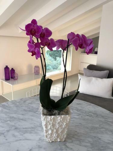 Apartamento Villa Il Bacio Del Sole