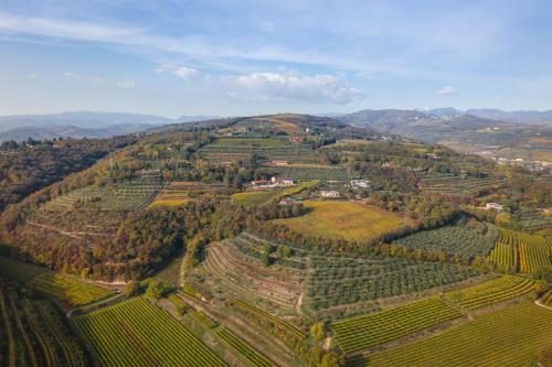 Agroturismo Agriturismo Ai Dossi