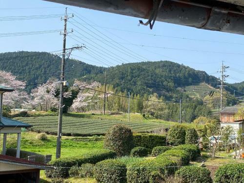 Tabinoya - Vacation Stay 69884v