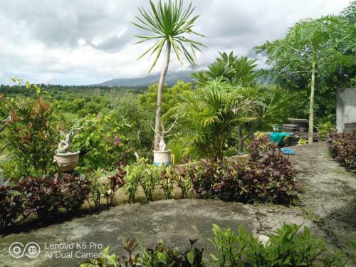 Tulamben Guest House