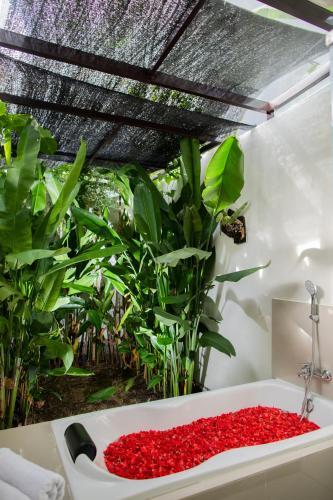 Layali Breeze Villa