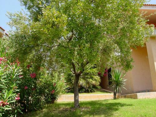 Posidonia Holiday Home
