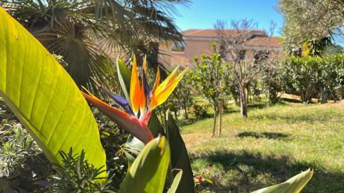 Posidonia Holiday Home