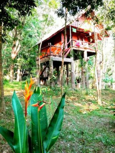 Garden View Treehouse : Treehouse Holidays