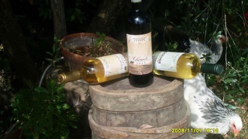 Agroturismo Le Mimose B&B