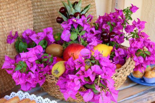 Bed & Breakfast La Rosa Dei Venti