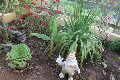 Casa Rural El Rinc�n De Antonia