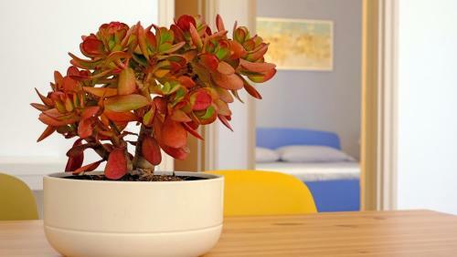 Apartamento Casa Barca - Le Chiavi Degli Iblei