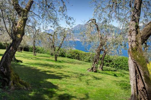 Villa Dismero-un Oasi Di Lusso E Privacy