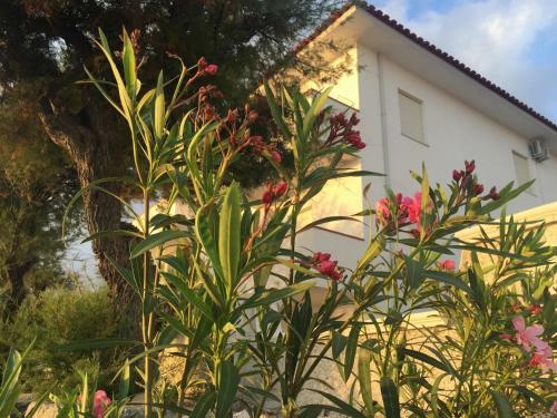 Rivamare Campora Casa Vacanze