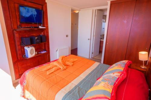 Apartamento Excelente Vista 084