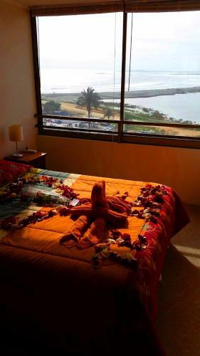Apartamento Excelente Vista 084