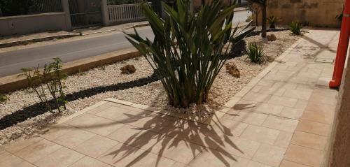 B&B Profumi Di Sicilia