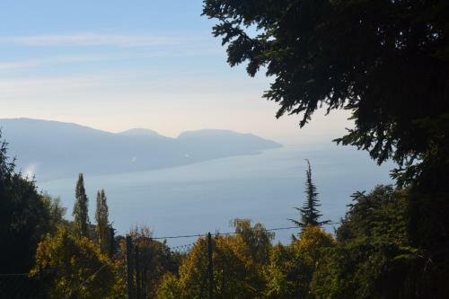 Apartamento Appartmento Belvedere