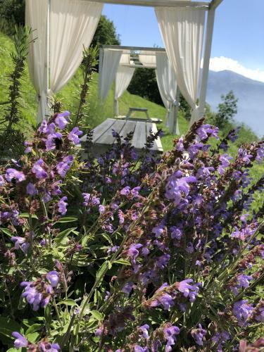 Apartamento Bnb Borgo Le Vigne - L'uva Rara