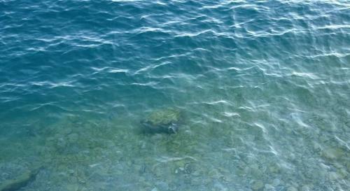 Apartamento Villa Latina Del Garda
