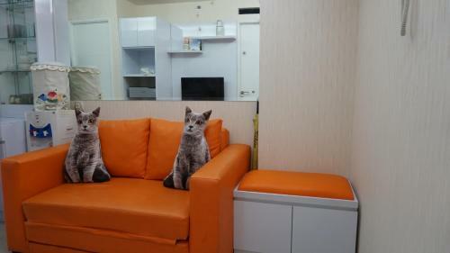 Comfy 2br At Bassura Apartment - Geranium Tower