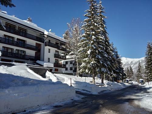 Apartamento Casa Cinque Funghi Folgarida