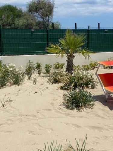 Residence Giglio Di Mare 2
