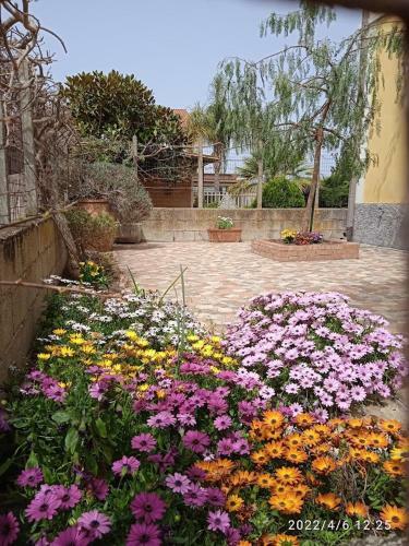 B&B "la Bouganville 1"