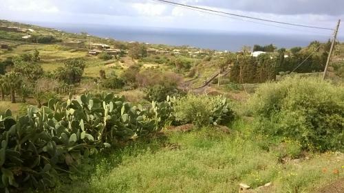 L'oasi Di Recale
