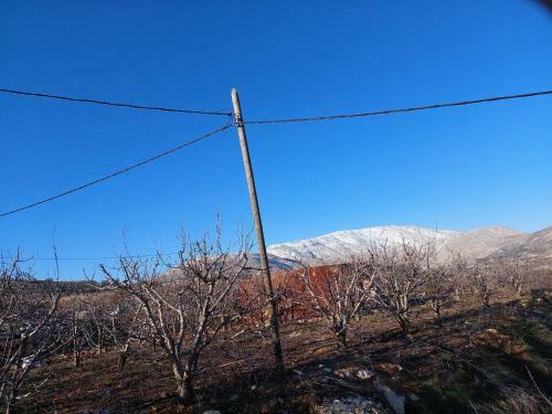 Apartamento B&B In Nature